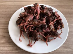 Лакомства для домашних животных фирменная торговая марка закуски еда лакомство собак кошек натуральные Замороженные
