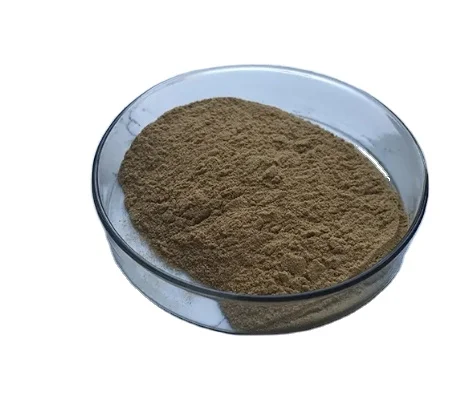 Manufacturer Directly Supply Ginseng Extract Powder