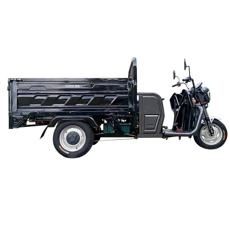 Good quality stainless steel car adult truck electric motorcycle for carry goods