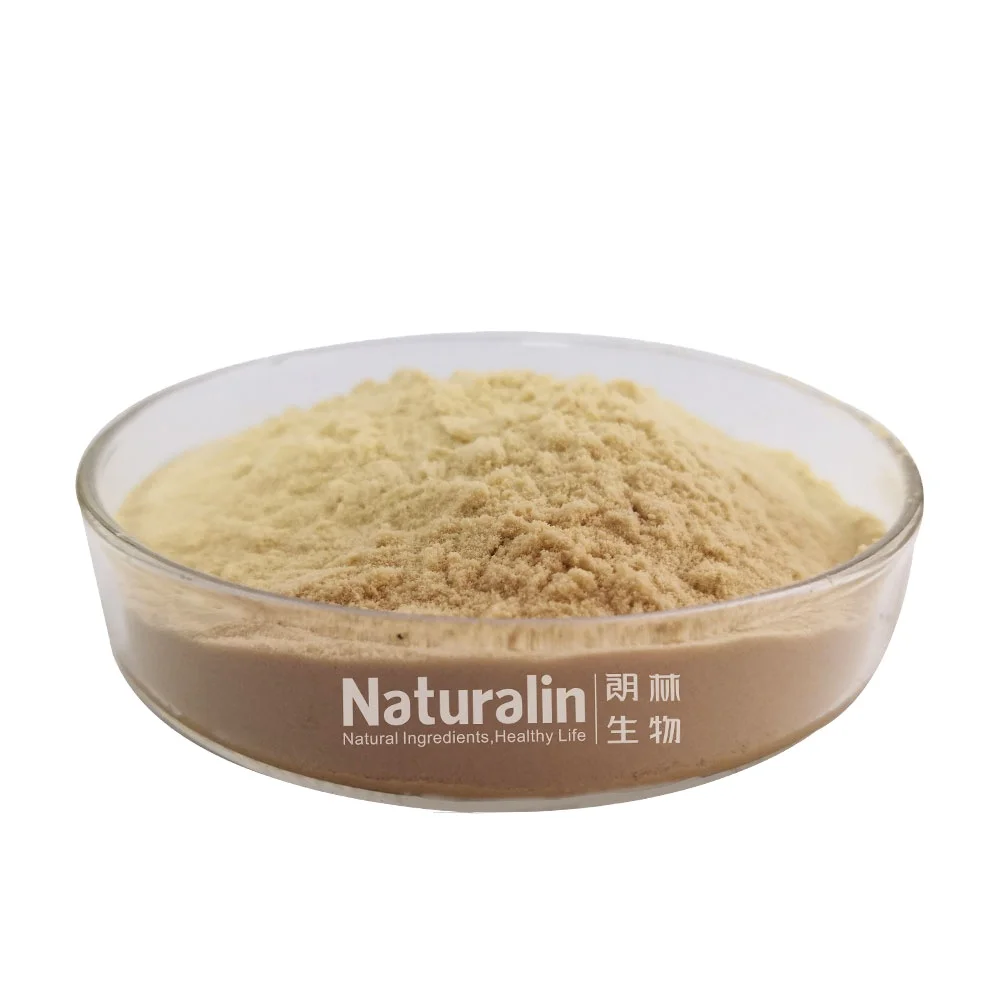 Naturalin Wholesale Customized Healthy Plant Extracts Angelica Sinensis (Oliv.) Diels Ratio TLC Assay Angelica Extract