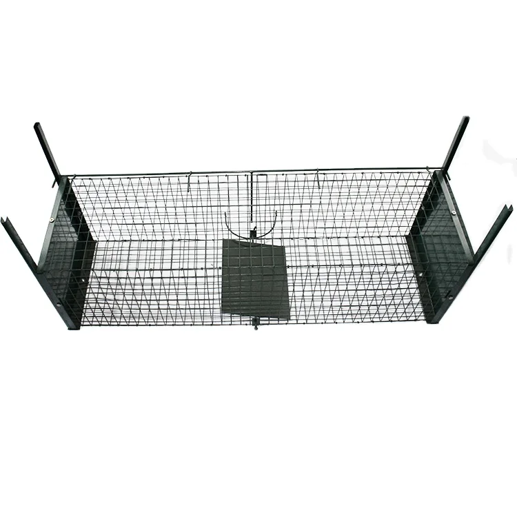 Chuanghui Sell Safe Foldable Pigeon Live Catch Release Animal Trap Cage