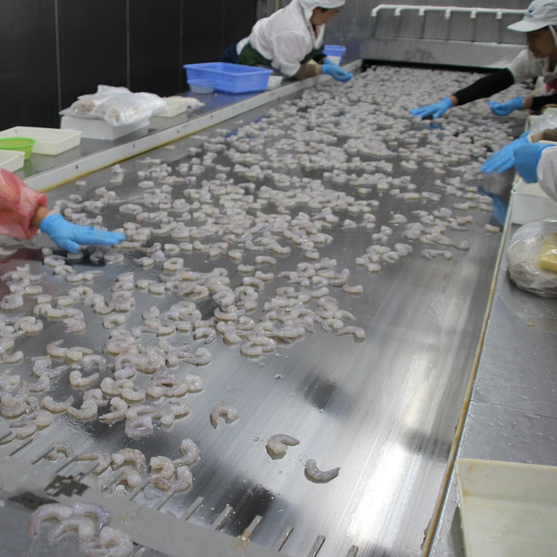 
1500kg/H IQF Efficient Shrimp Solid Tunnel Freezer/Industrial IQF Blast Freezer for Fish/Shrimp/Seafood with CE/BV 