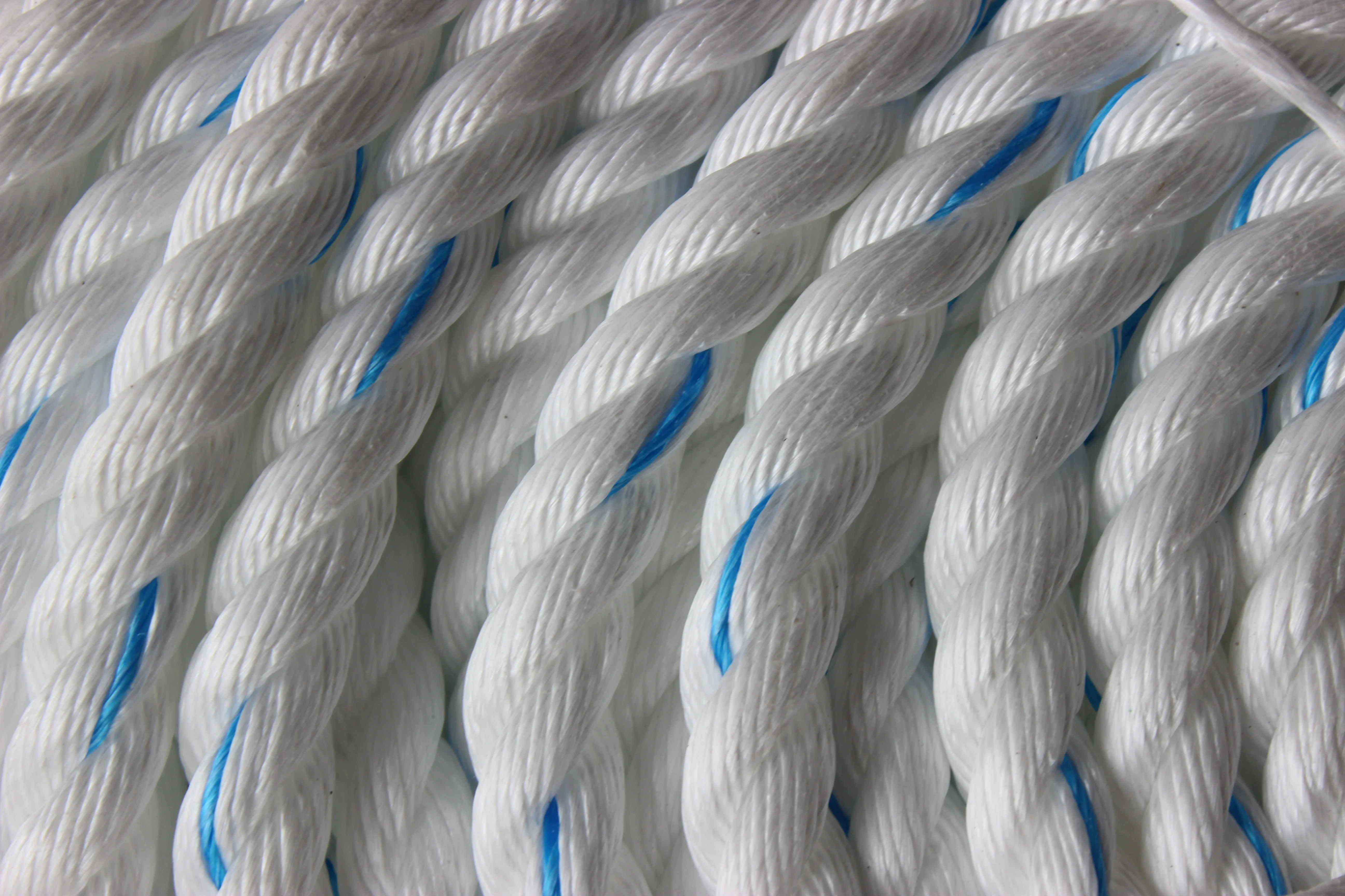 Hot sale high strength 100% new material pp danline rope/nylon rope for ocean fishing net usage
