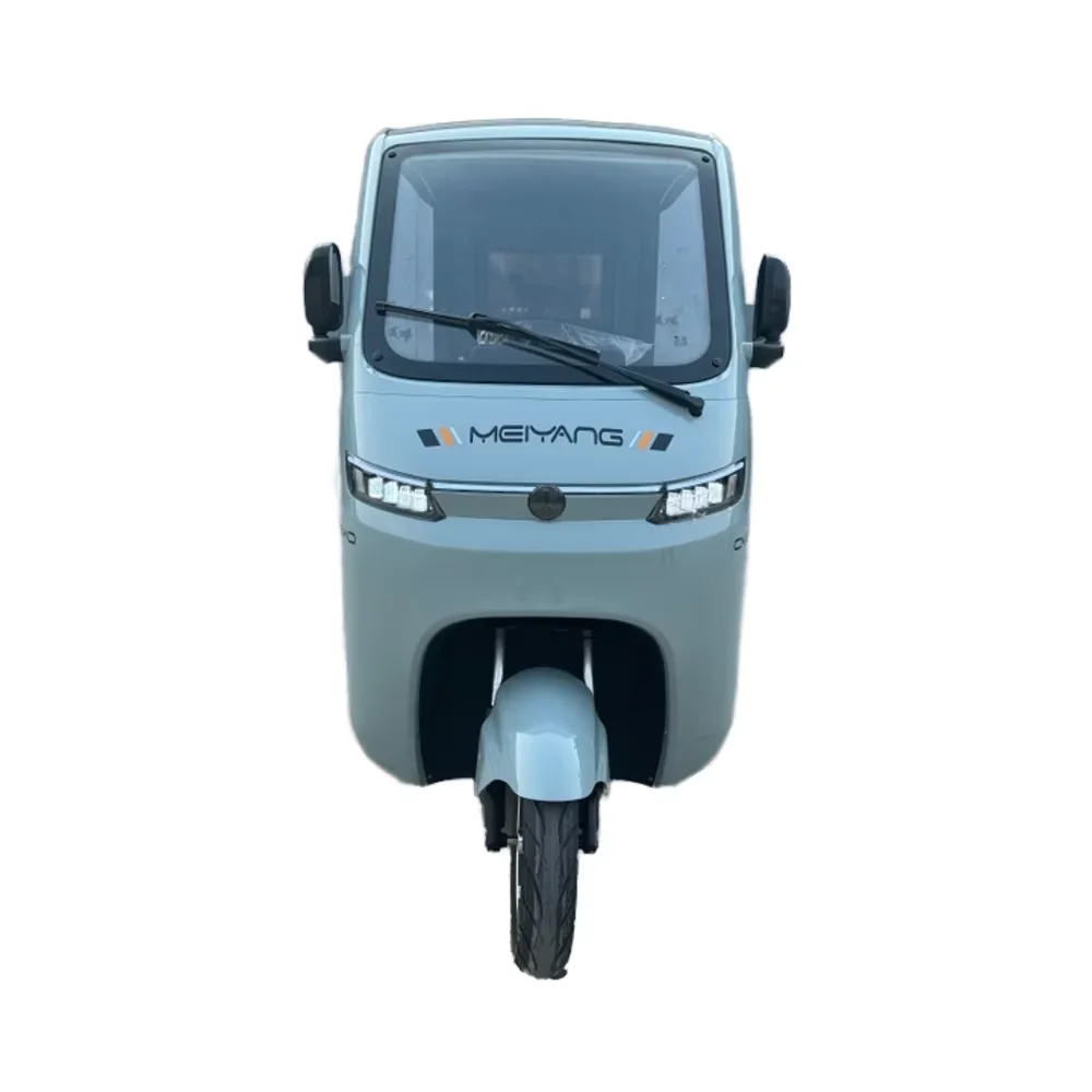 MEIYANG 3-Wheeled Electric Tuk Tuk Open Body Passenger Tricycle for Adults 1000w Motorized for Elderly Family Use