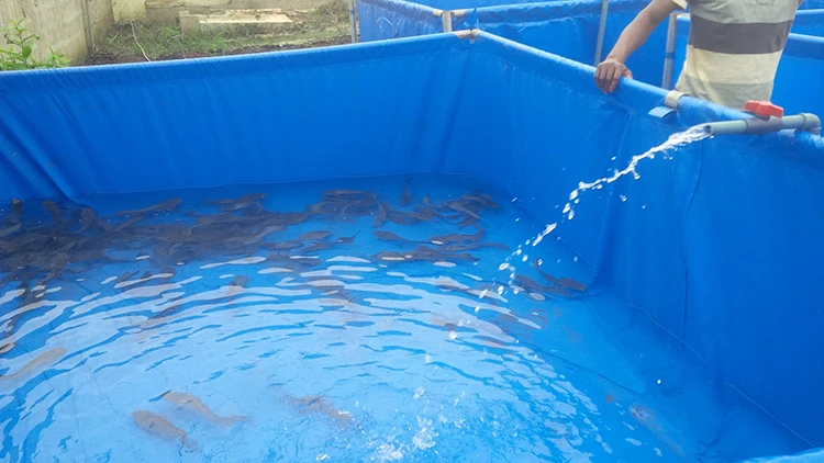 Складной л стальной каркас, ПВХ Biofloc, аквариумный брезент для бассейна, пруда для рыбы