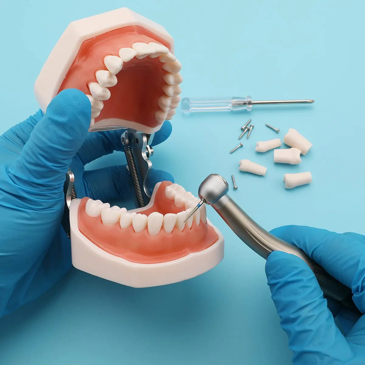 Training anatomy dental tools practical denture printing dental model replacement teeth