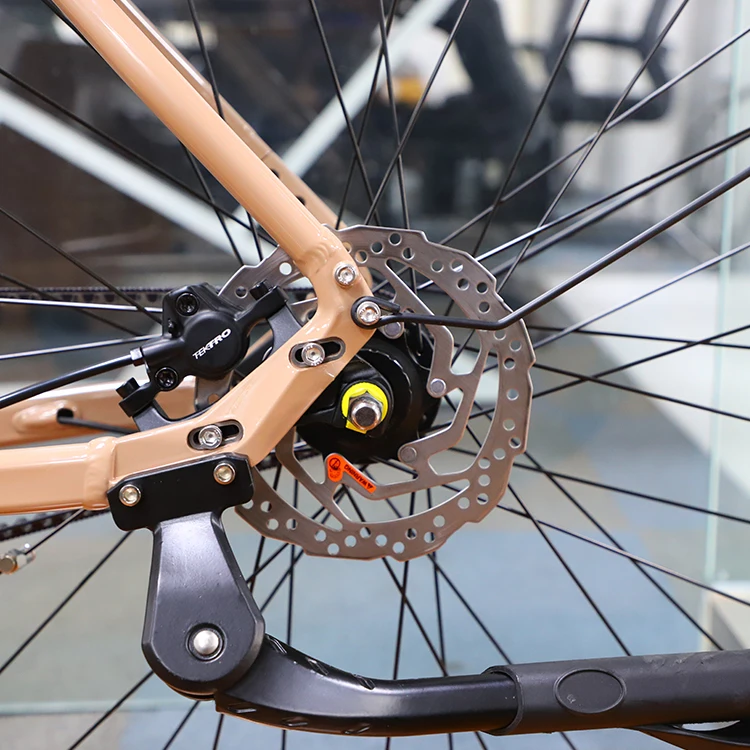 Ansbern New hidden Battery Gates Belt Drive E Bike 700C Electric Bicycle With Other Part 250w Brushless