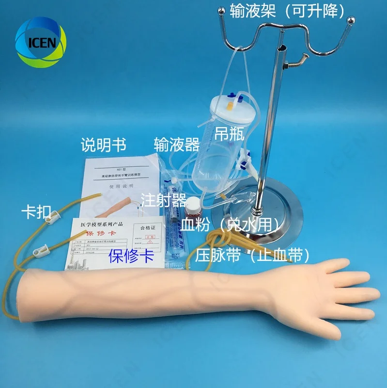 IN-M7 Amain Good Quality Injection Training Hand Arm Venipuncture Practice Model Intramuscular Training Model For Hospital
