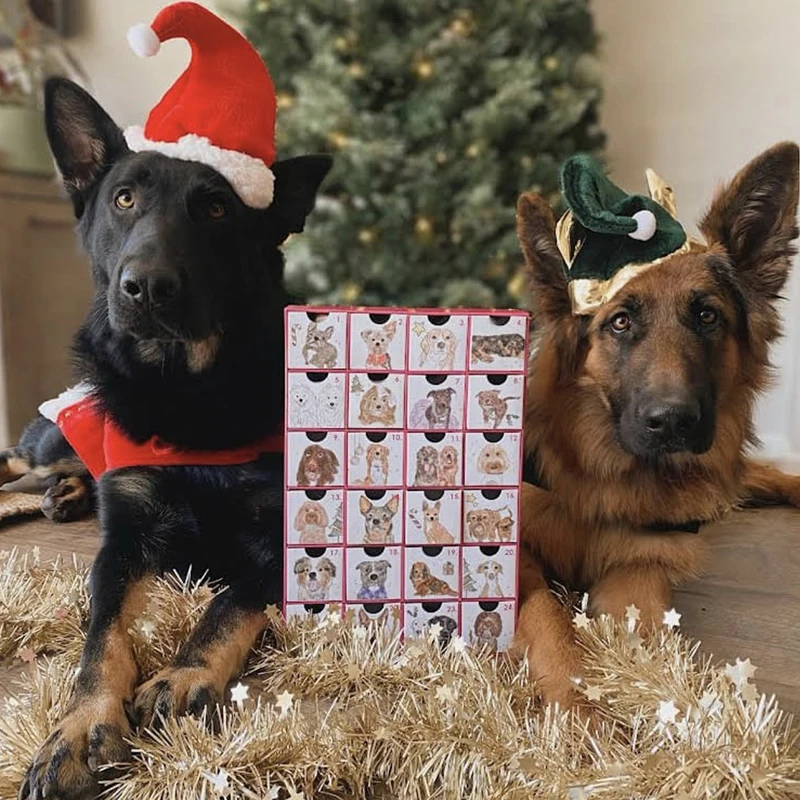 Custom Printed Cardboard Paper Empty Dog Christmas Advent Calendars For Dogs