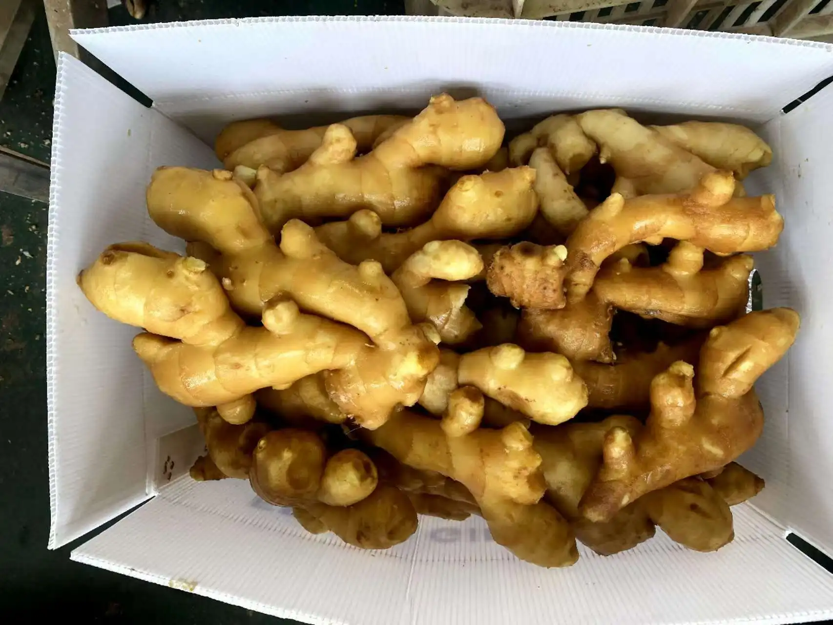 Organic Ginger USDA certification Exporter Factory Ship 150g 200g 250g Fresh Ginger Air Dried Ginger