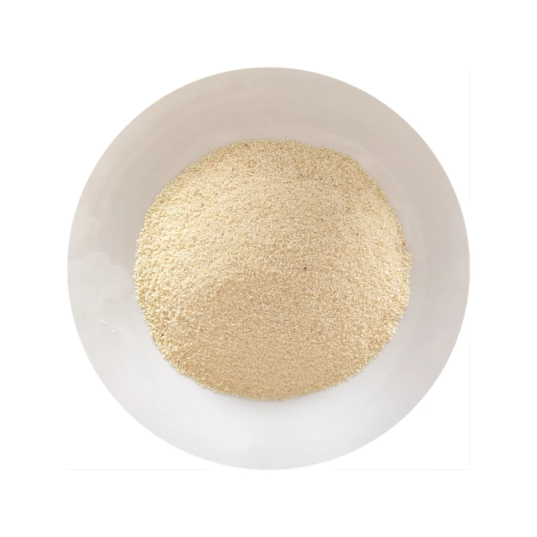 2023 New Spice Dehydrated Garlic Granules/Chopped Garlic for Spice