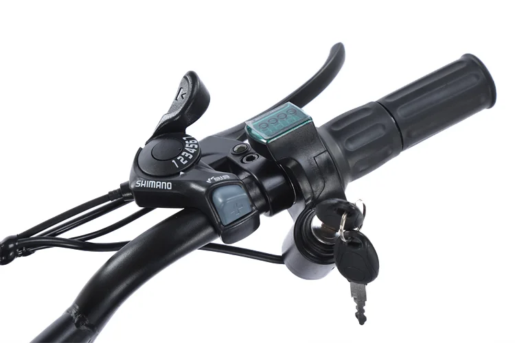 20 Inch  Electric Bicycle Fat Tire Power Assisted Bicycle Beach Lithium Electric Snowmobile