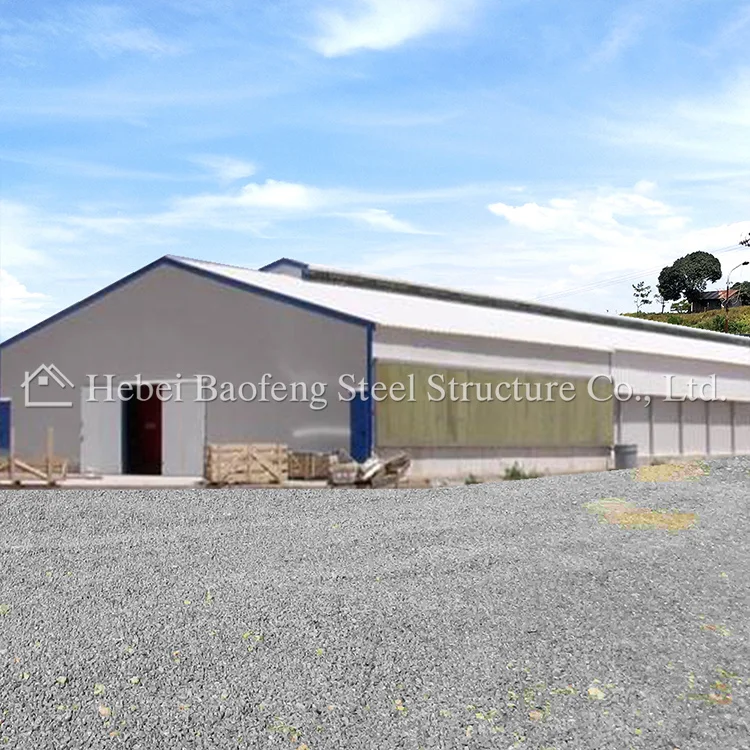 Modern Design Prefab Steel Structure Chicken Poultry Farm  For Sale