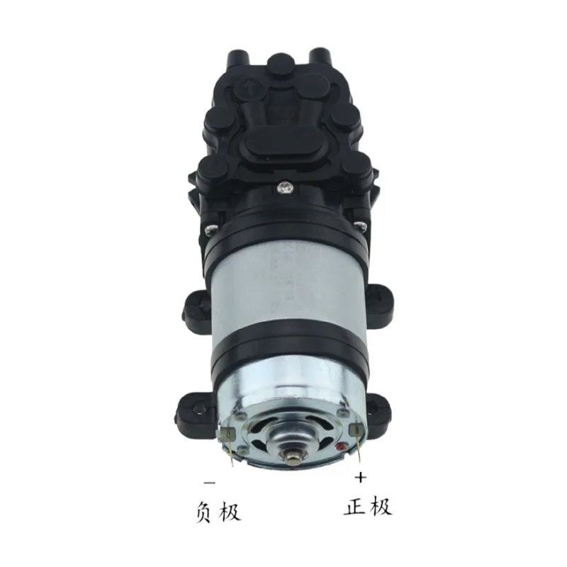 Custom Plastic Garden 6L Backpack Hand Operated Water Sprayer For Crop Corn Sprayed Pump