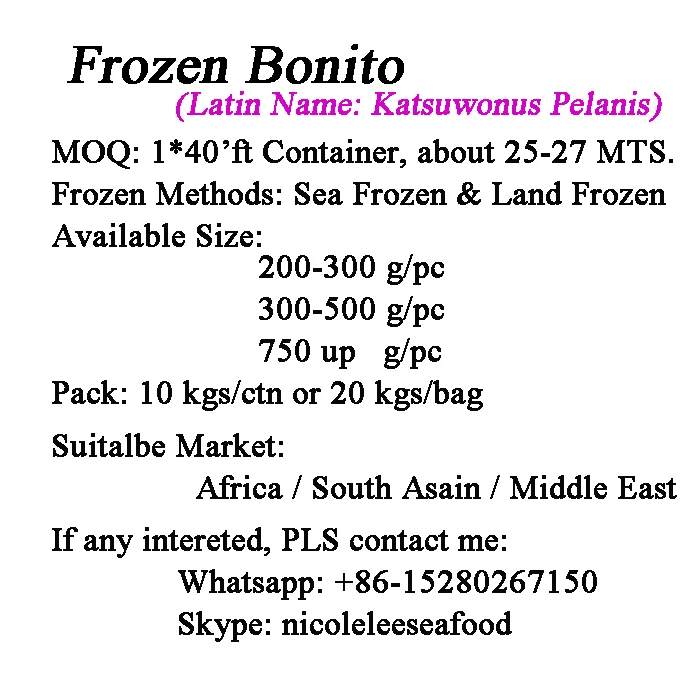 Замороженный Бонито скумбрия тунец шкидок