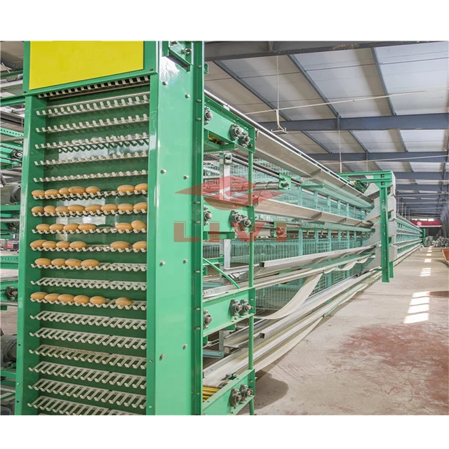 Zhengzhou Livi Egg Layer Chicken Cage for farm equipment with chicken house design