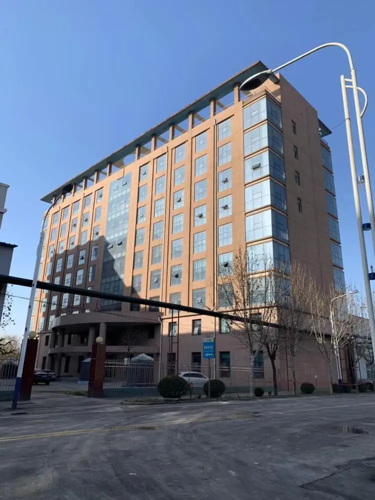 Wheat Gluten Granular