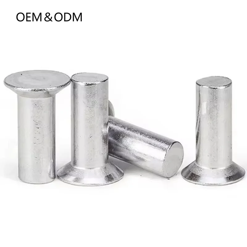 Professional Customization Non-Standard Stainless Steel 304 Solid Metal Rivets And Round Head Rivets