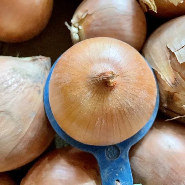 Fresh Yellow Onion 20kg Retail Packing with Size 8cm Export Japan