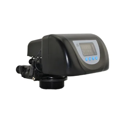 Multi-functional Water Flow Control Valve / Runxin Control Valve (Automatic Softener Valve)