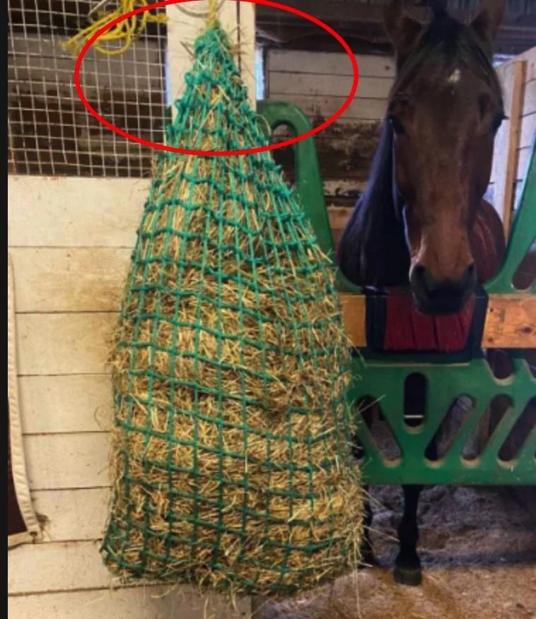 Horse bale hay net/Hay Nets Equestrian Riding/ Hay Net Horse Feeder for Health