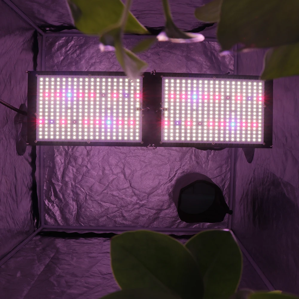 Yxo Ru Eu Br Pl Stock Full Spectrum Led Tube Grow Light Grow Led Strip Epistar 120w 240w Led Grow Light