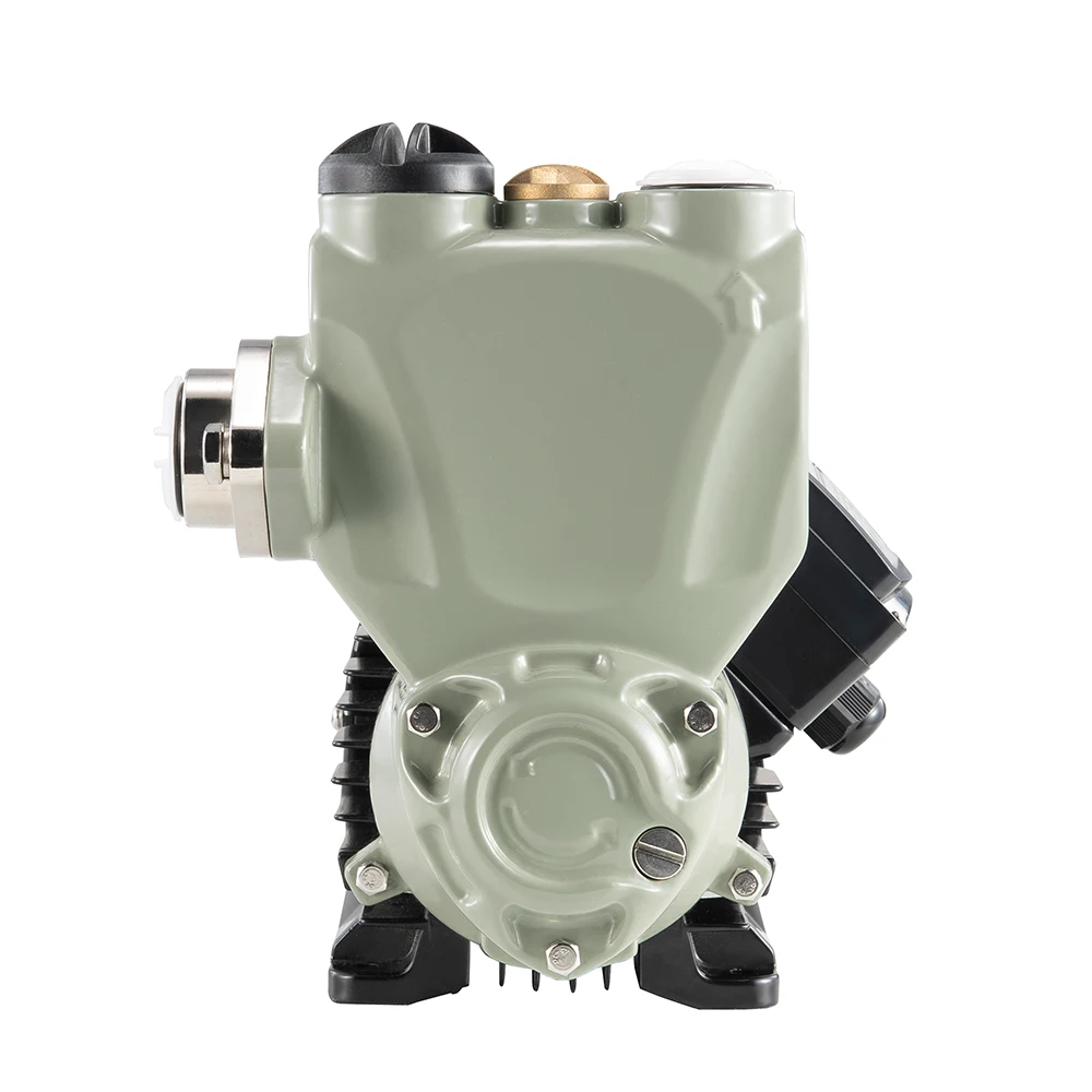 2 hp Electric Single-stage Hot and Cold Household Pressure Deep Well Water Pump