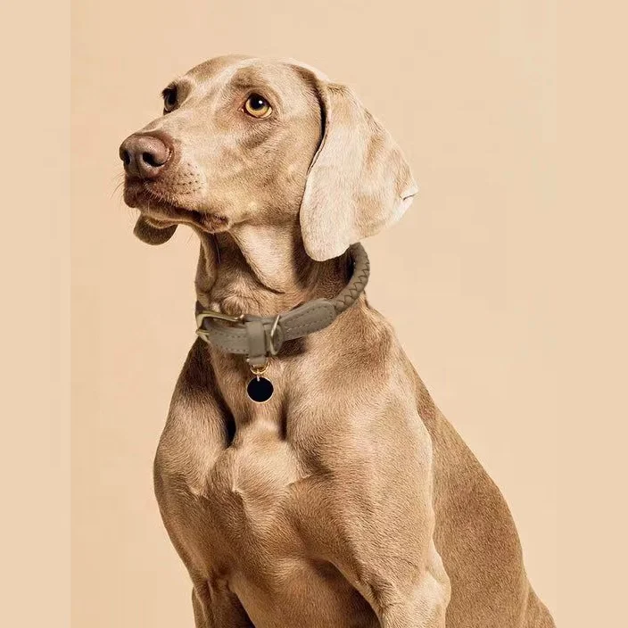 Premium Luxury Adjustable Pet necklace Neck Strap Genuine Braided Cow Leather Dog collar and Leash set with Gold Metal Buckle