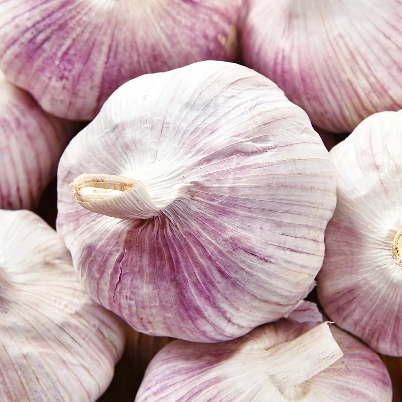 Huaran Factory Wholesale Garlic Cheap Price New Crop  Raw Single Spices Chinese Fresh Garlic