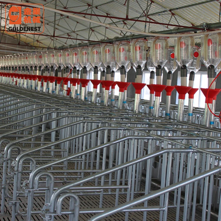 pig raising equipment / pig feeding equipments