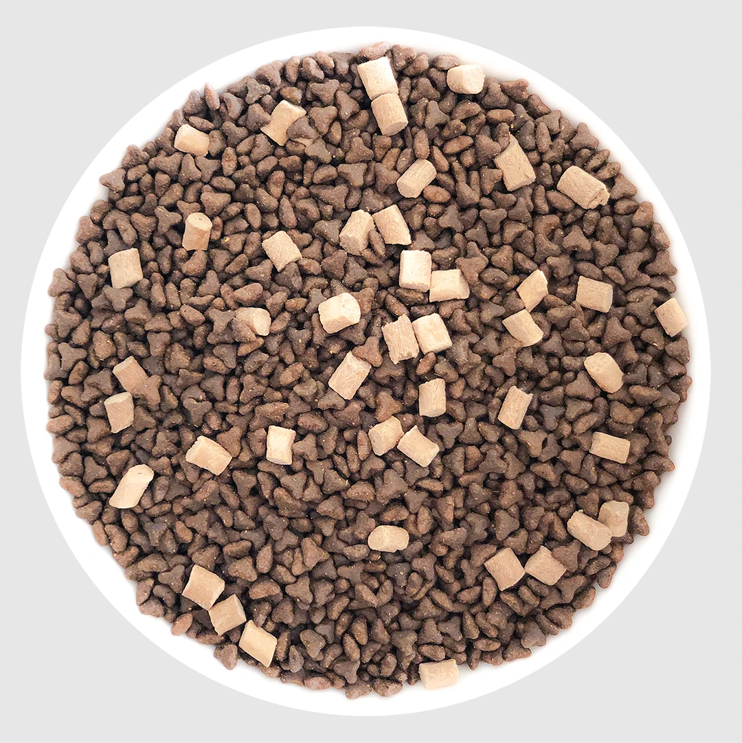 High quality Dog food measuring cups home made dog food recipe for dog food