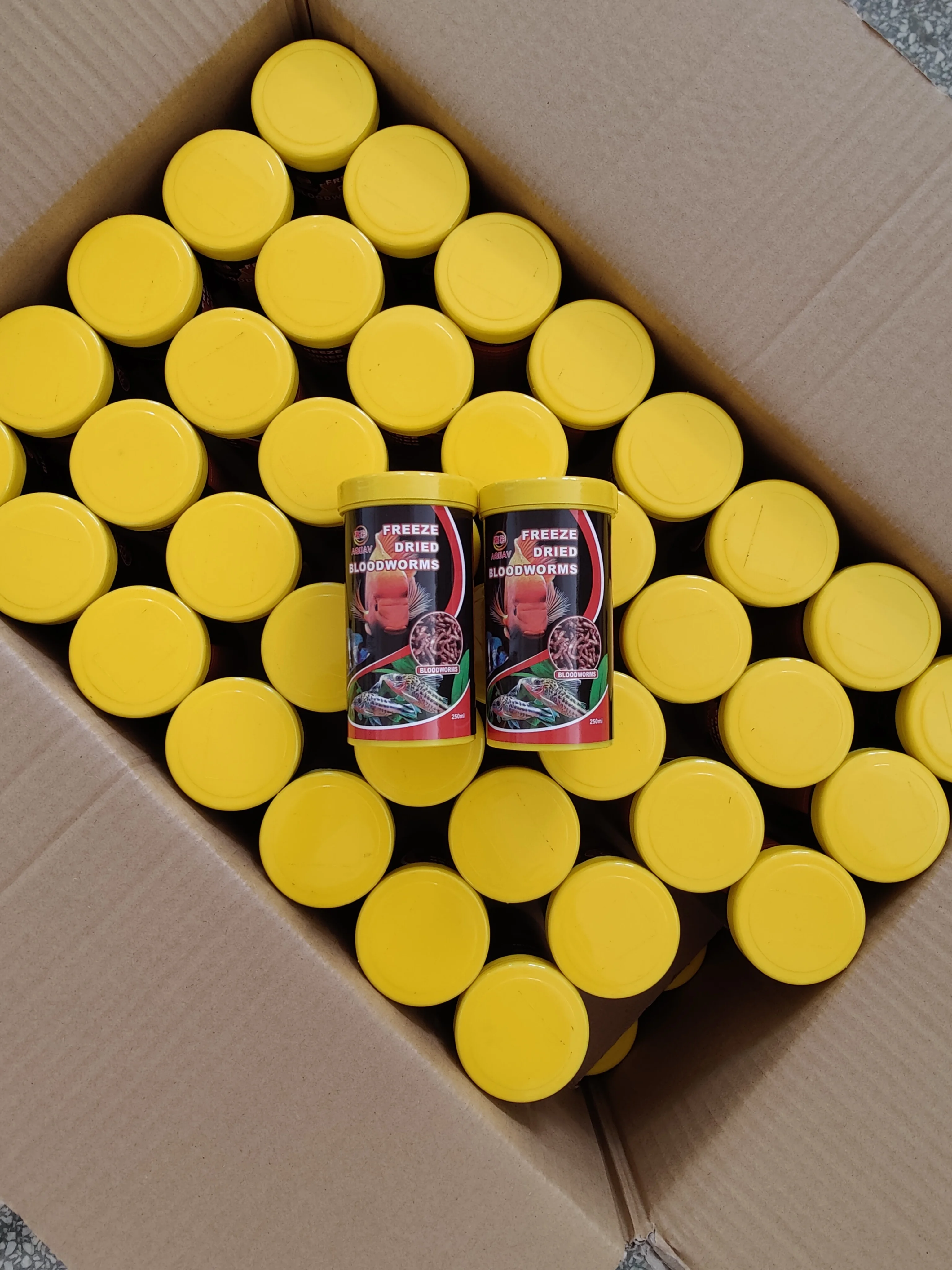 freeze dried  bloodworm