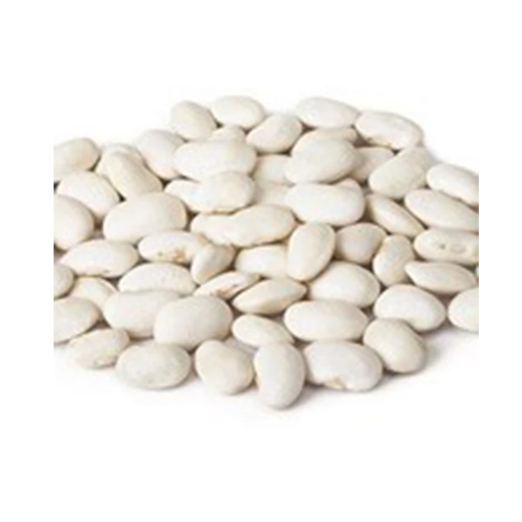 Long Shape White Beans Dried Kidney Beans White Kidney Wholesale Price White Kidney Beans From Kyrgyzstan