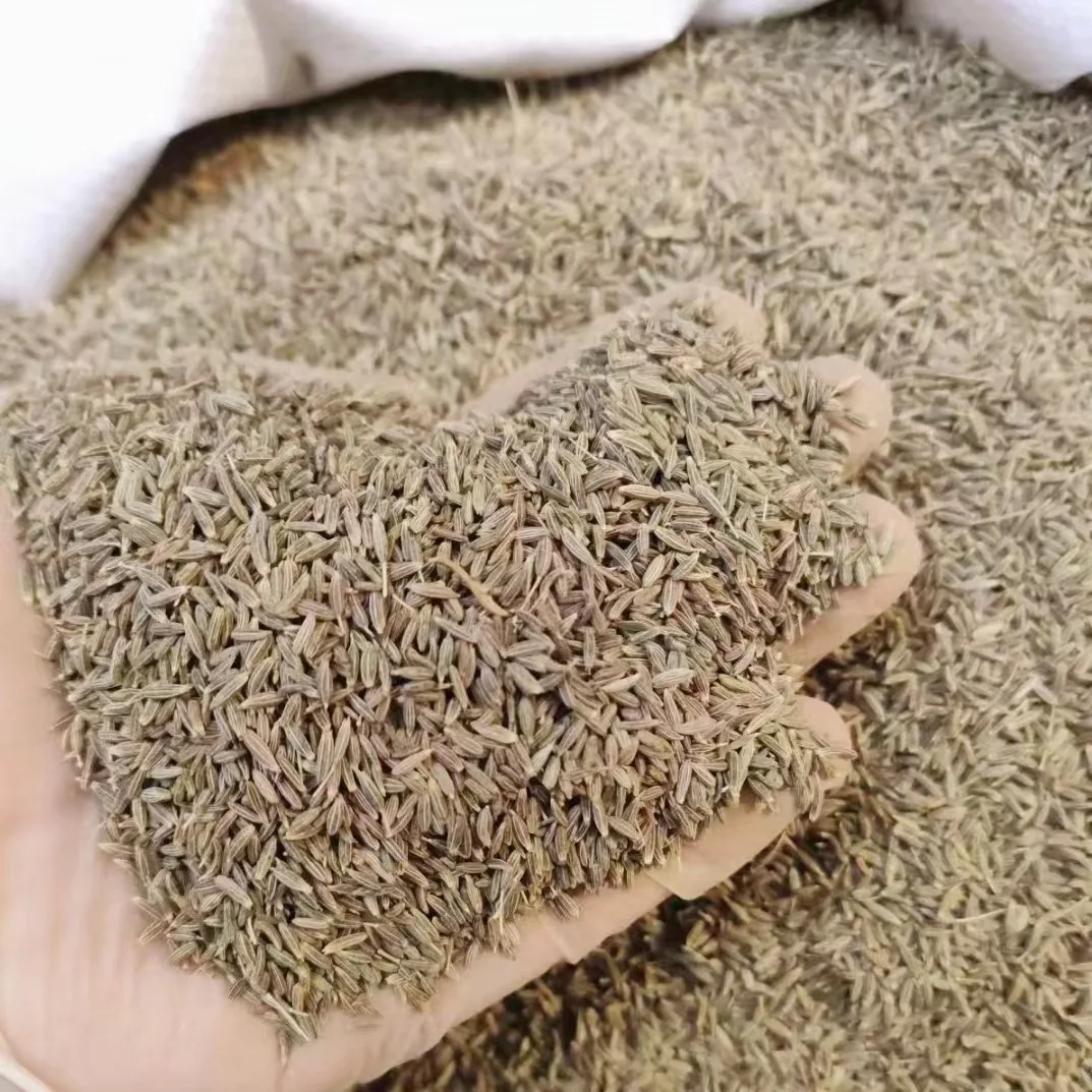 Wholesale best price top quality single spices seasoning cumin seeds