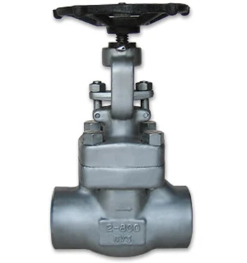 ASTM A105 A105N A182 A336 F304 F304L F316 F316L F317L Female Screw Forged Steel Globe Valve