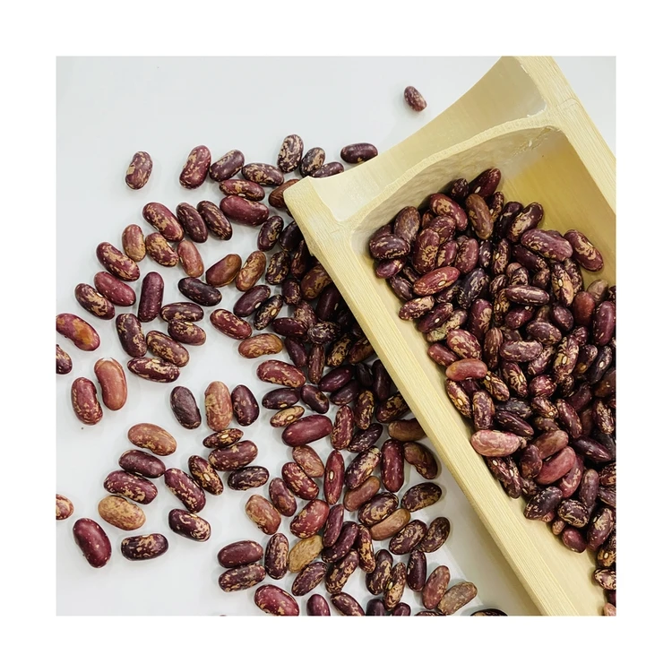 Good quality promotional black purple speckled kidney beans