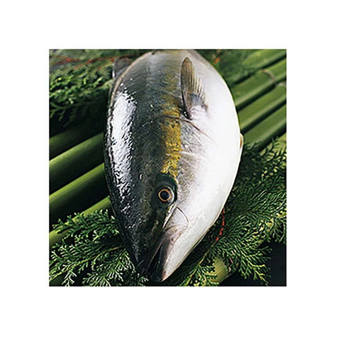 
Wholesale high quality good price fish and display all types seafood 