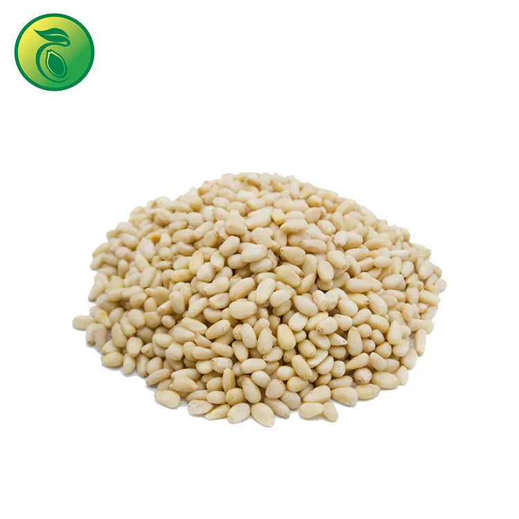 Pine Nuts Usa Pine Nuts Pakistan Pine Nuts Prices