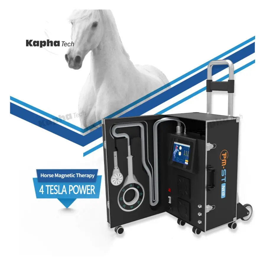 Pain Free Pmst Physio Magnetic Vet For Horse Treatment Promoting Overall Wellness Magneto Rehabilitating And Injured Therapies