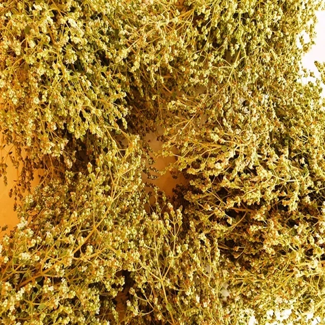 Wild Oregano Oil - Pure 100% from Turkey