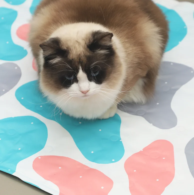 Wholesale Waterproof Foldable Portable Pet Sleeping Mat Summer Pet Dog Cat Cool Gel Mats Pads