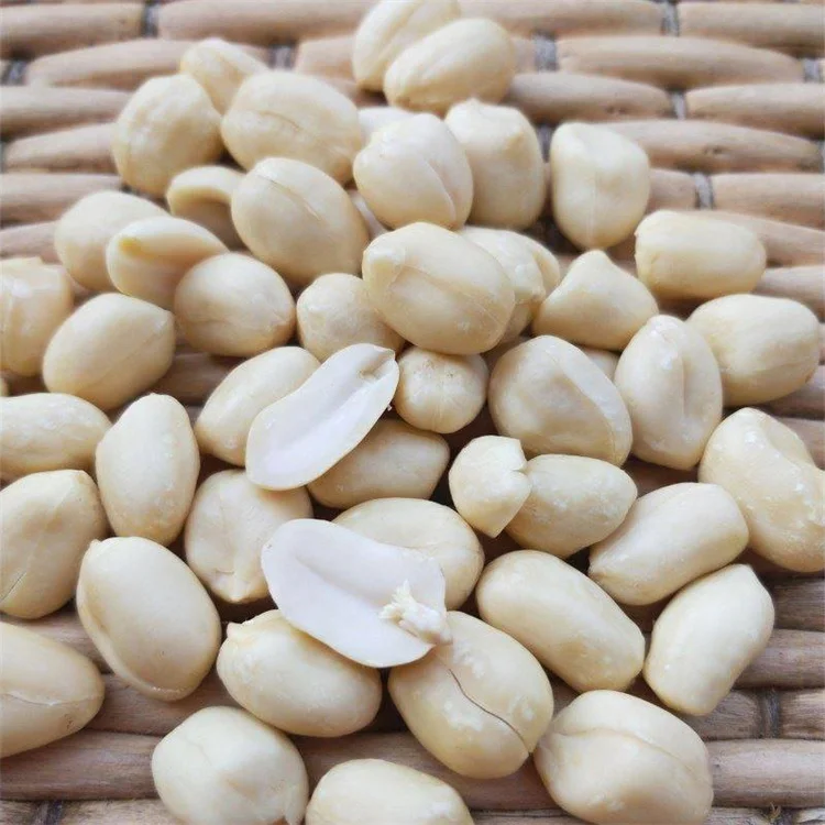 Blanched Peanut Kernel China Shandong Origin Low Price Raw Peeled Peanut Kernels Nuts For Sale Size 25/29
