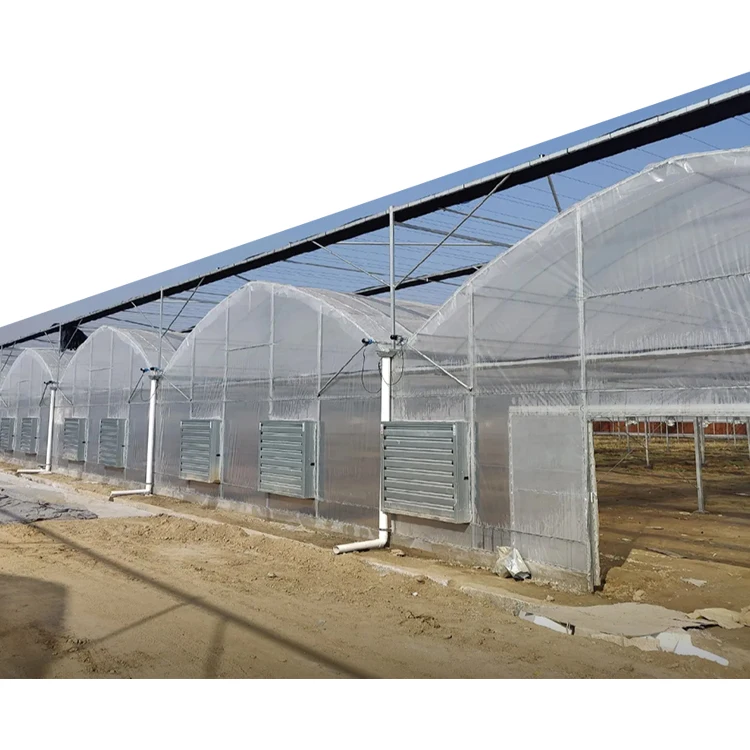 Long Time UV Resistant Multi Span High tunnel  layer serre plastic film agricole prix  tomatoes Agricultural Greenhouses