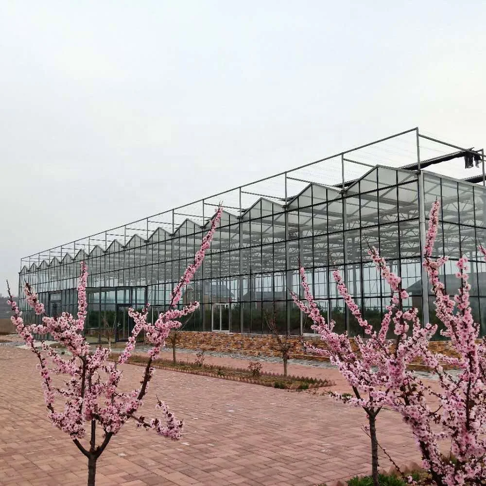 
Multi-span Venlo Glass Solar Greenhouse for Flower Vegetable Fruits Planting 