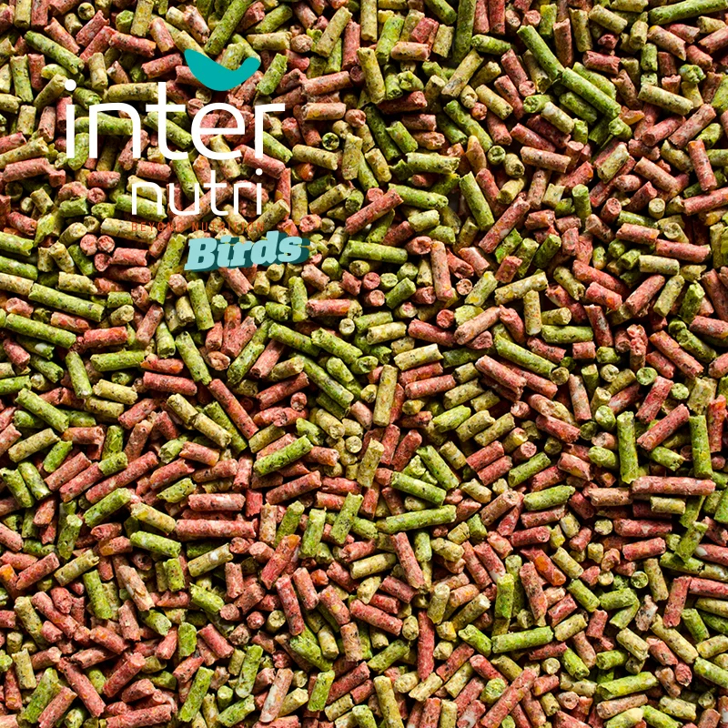 
Granulated feed for blackbirds | INTERNUTRI BLACKBIRDS VITAMINATED 1KG 