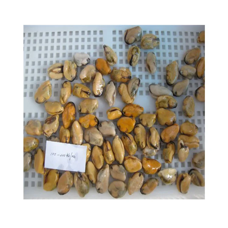 Seafood Fish Frozen Mussel Meat Detail Raw Freshwater Of Mussel Meat Without Shell Iqf