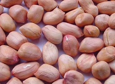 High quality Peanut Shell Extract Peanut Skin Extract Peanut coat extract powder