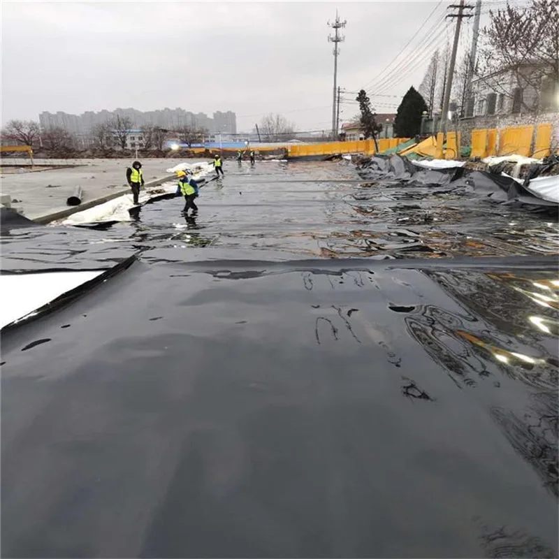 Вкладыш для рыбного пруда Hdpe гладкий геомембран водонепроницаемый мембранный лист пластиковый корневой барьер производитель