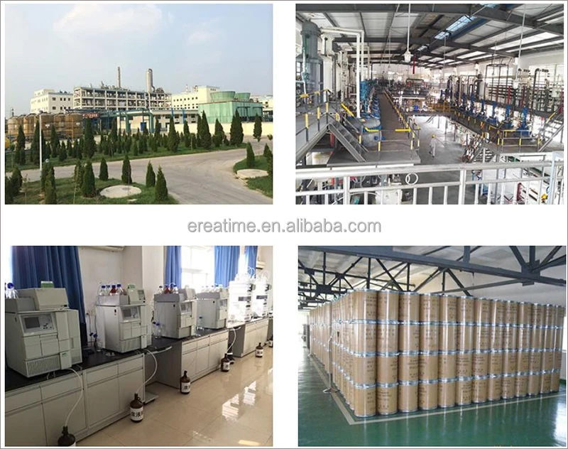 Food Grade beta-Galactosidase CAS NO 9031-11-2 Lactase Enzyme Powder Activity of Enzyme 100000/10000/5000 ALU/G