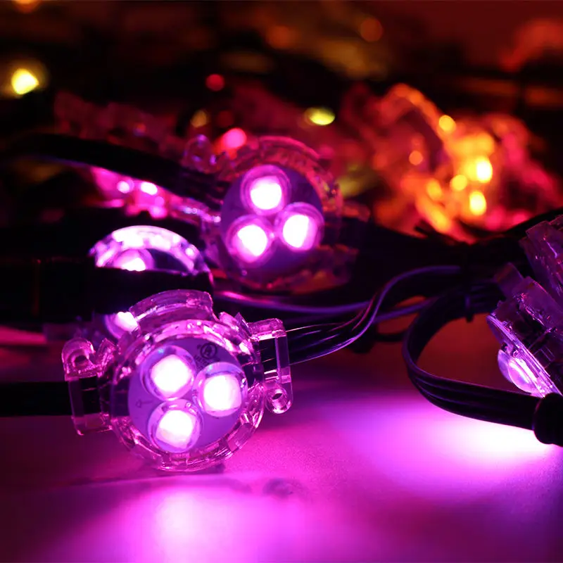 Holiday LED Pixel Point Light  DC12V/24V 5050 RGBW Chasing Light Round 30mm Smart Christmas Permanent Residential Light